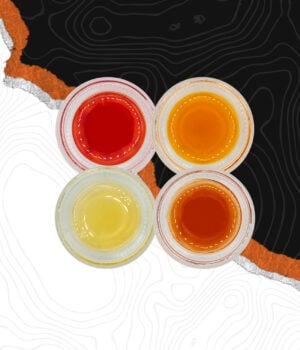 5 Pack Assorted Concentrate Bundle